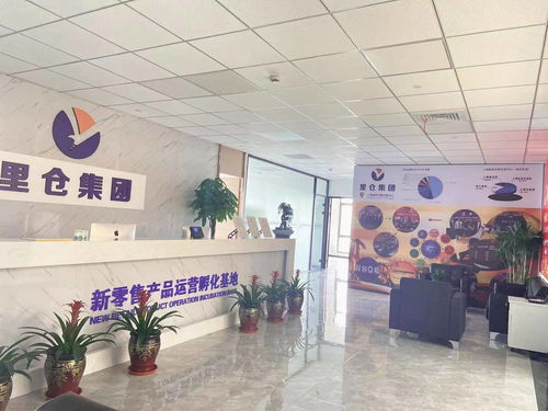 一站式投服行業(yè)服務(wù) 上海里倉科技集團(tuán)的信息技術(shù)咨詢服務(wù)解析